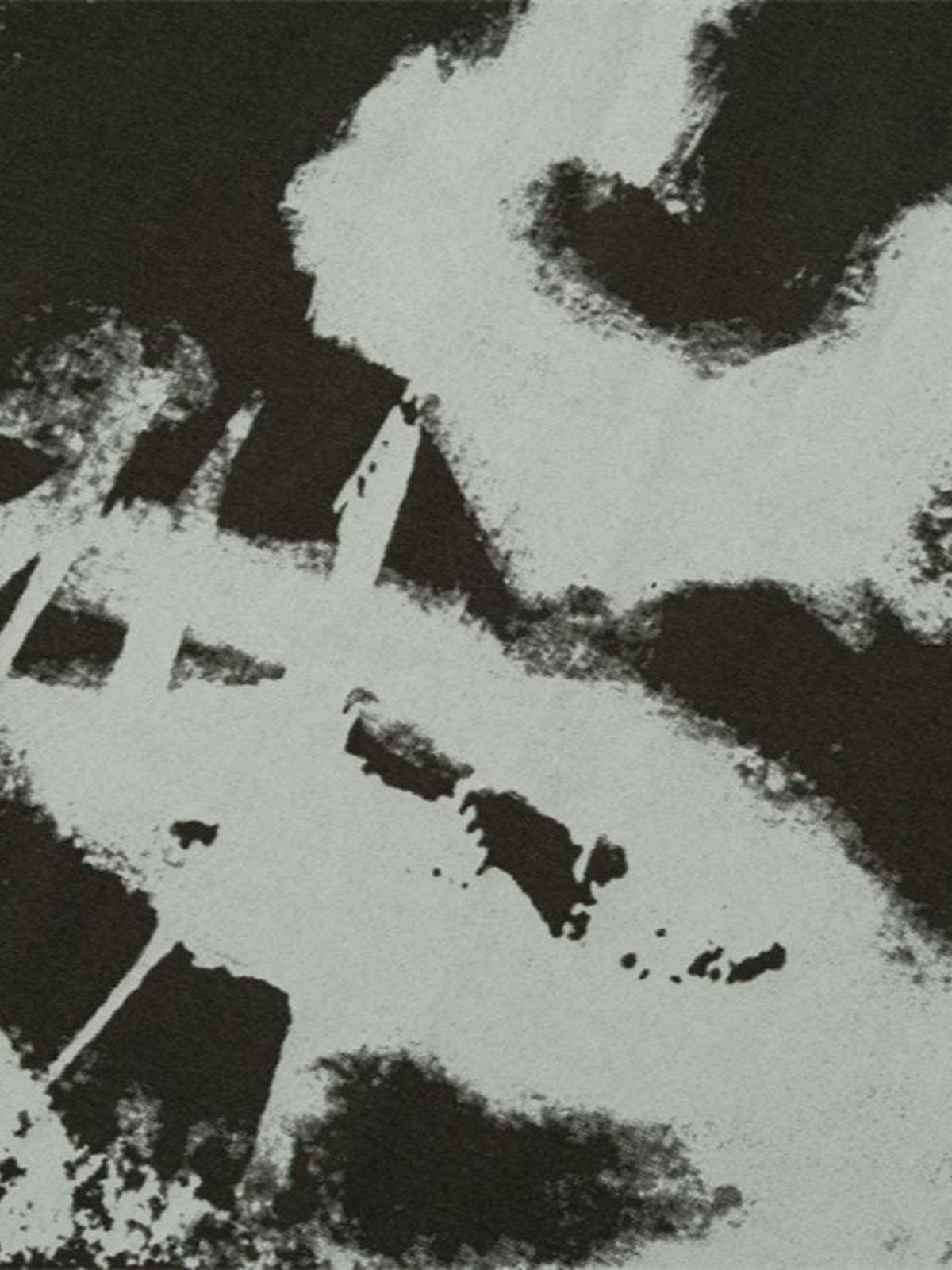 Camo sleeve raglan tee – Print close-up | XoKool