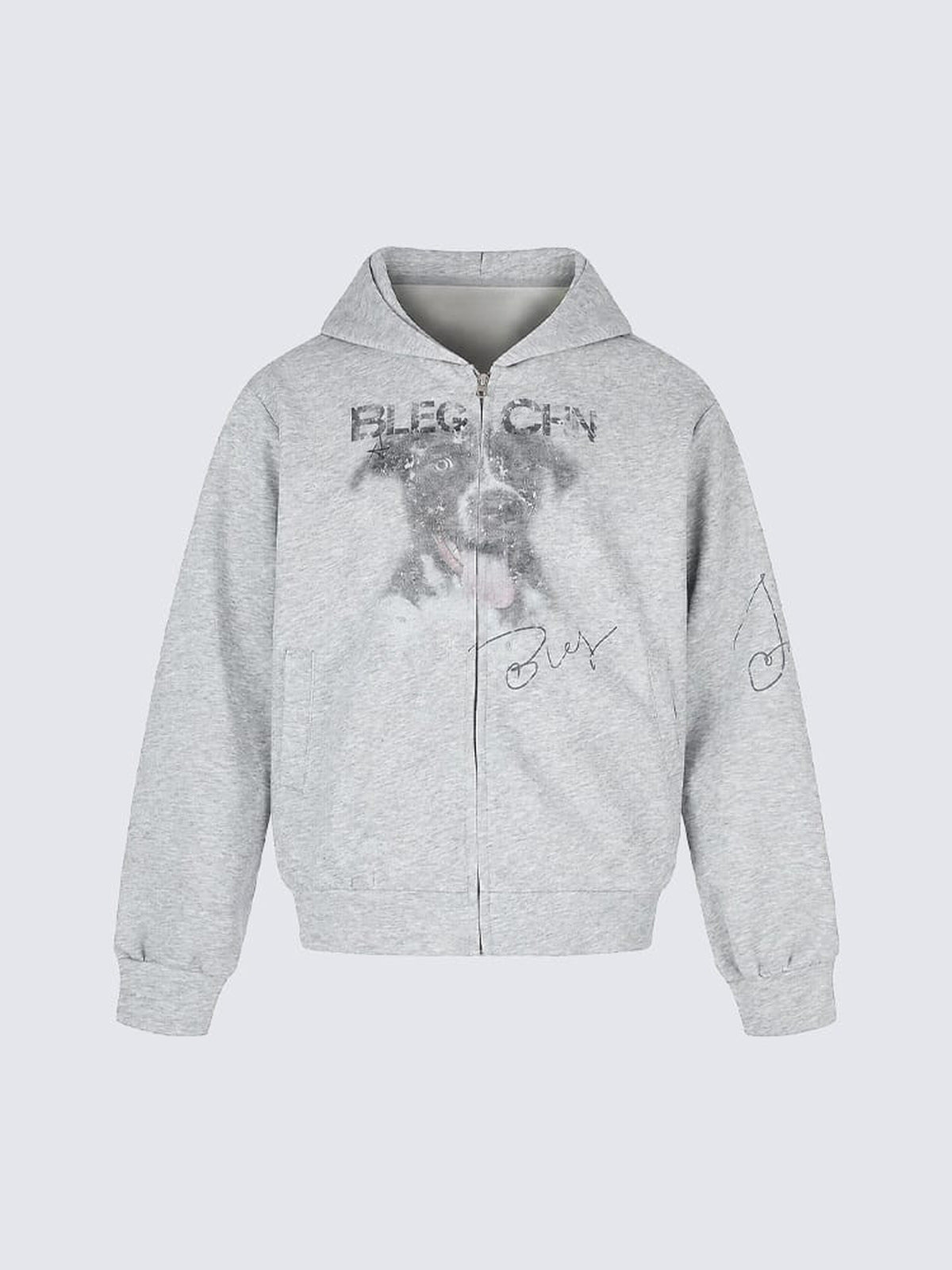 Puppy Graphic Zip Hoodie – Grau, Vorderseite flach | XoKool