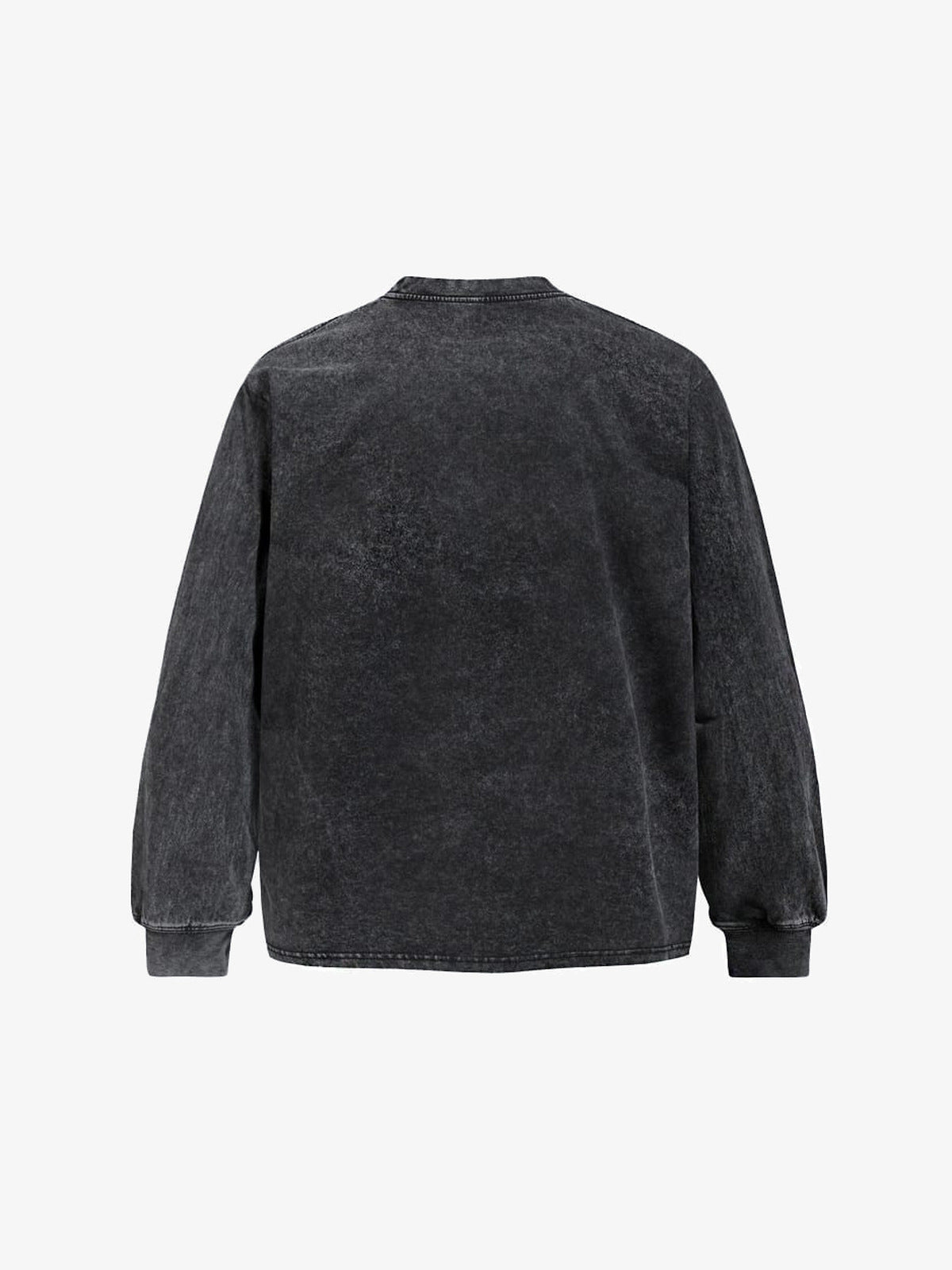 Washed Black Doberman Graphic Long Sleeve Tee – Black, back view | XoKool