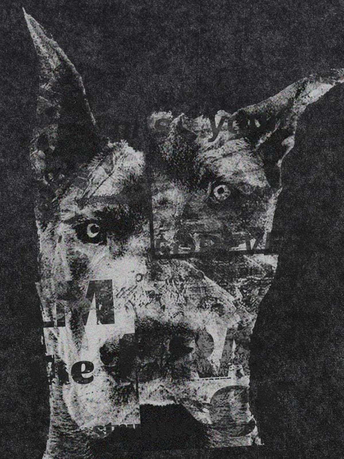 Washed Black Doberman Graphic Long Sleeve Tee – doberman graphic close-up | XoKool