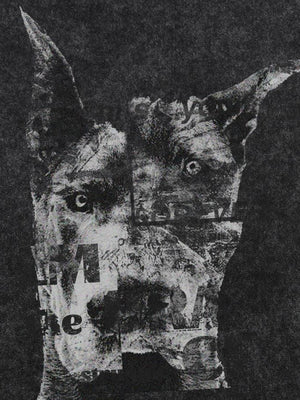 Washed Black Doberman Graphic Long Sleeve Tee – doberman graphic close-up | XoKool